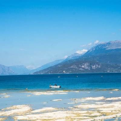 乐虎国际下载手机版