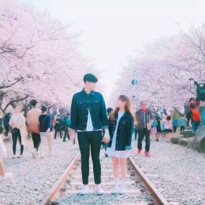 星空下载站官网下载手机版