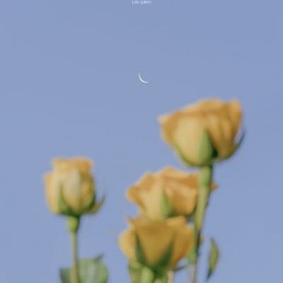 kok官方体育app下载