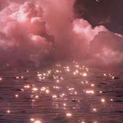 星空体育平台官网